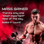 The Bull Mass Gainer Chocolate flavour