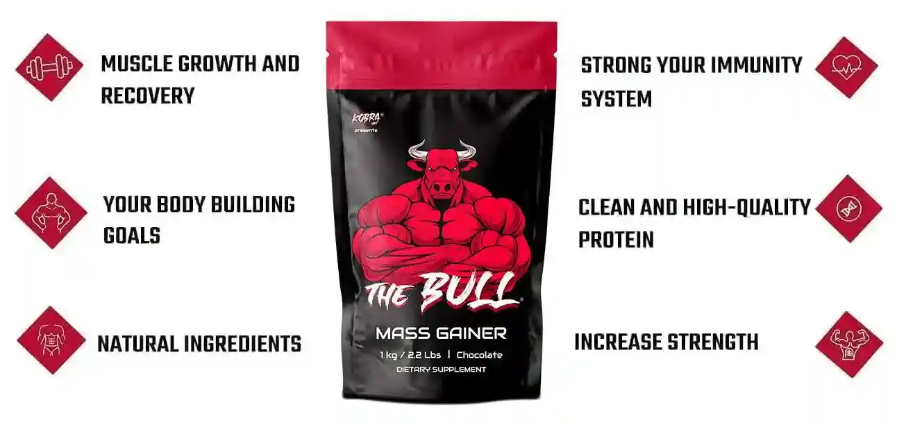 chocolate mass gainer we